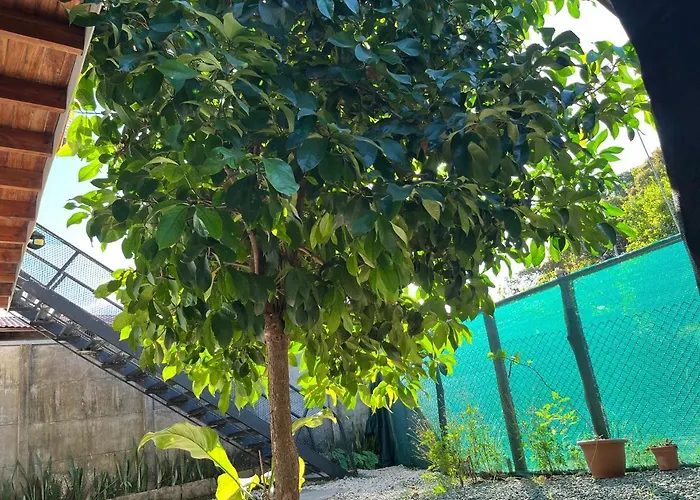 Apartamento Mango Y Cafe