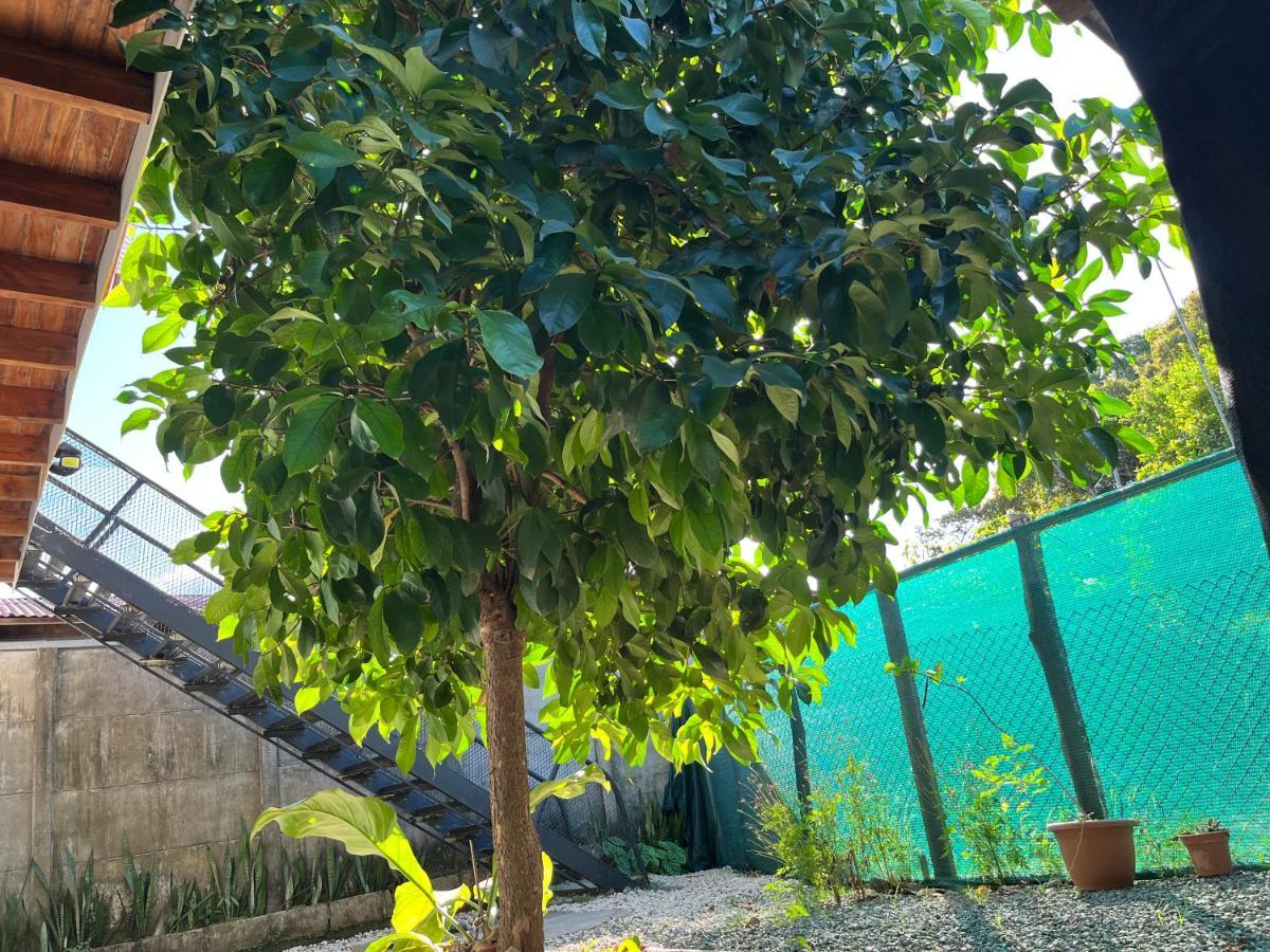 Mango Y Cafe Lagunilla (Guanacaste)